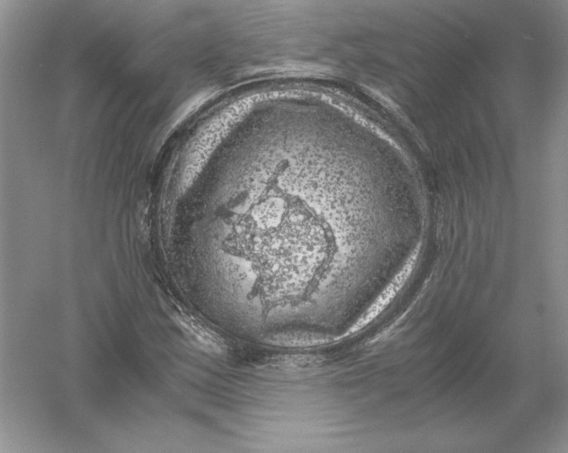 X0000055981163200509091945