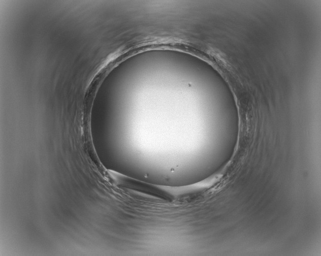 X0000055981165200509091945