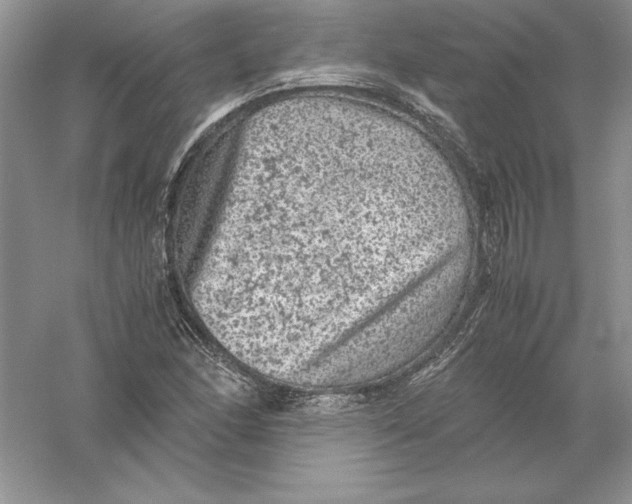 X0000055981166200509091945