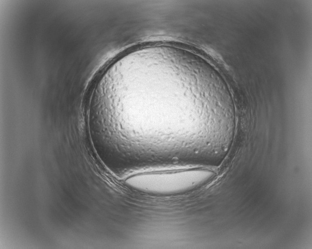 X0000055981167200509091945