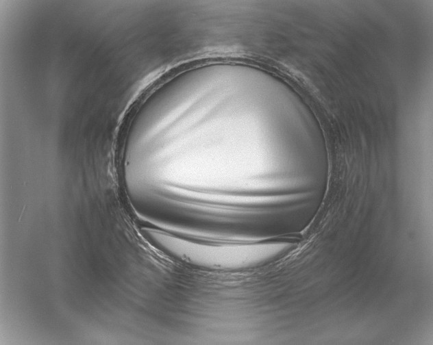 X0000055981168200509091945