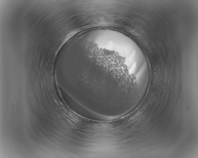 X0000055981170200509091945