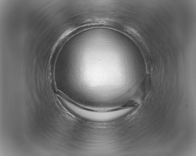 X0000055981172200509091945