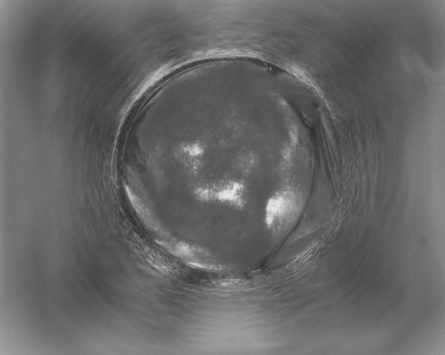 X0000055981173200509091945