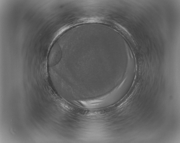 X0000055981174200509091945