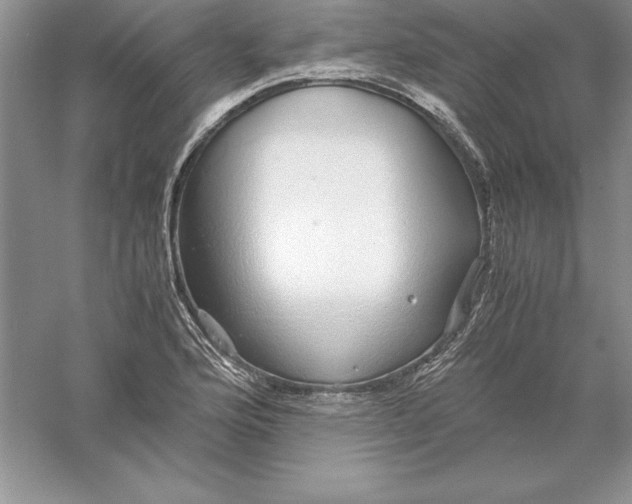 X0000055981176200509091945