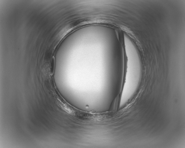 X0000055981177200509091945