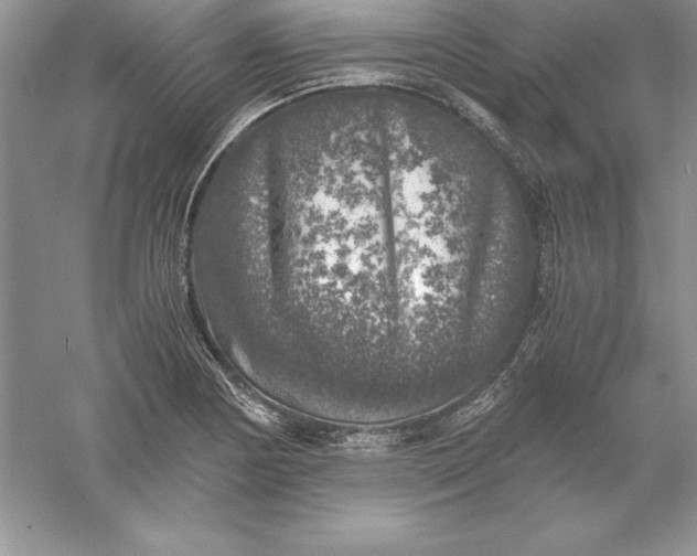 X0000055981178200509091945