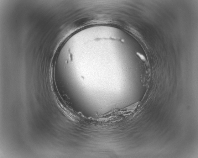 X0000055981179200509091945