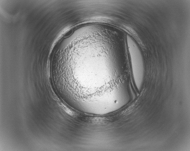 X0000055981180200509091945