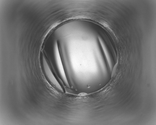 X0000055981181200509091945