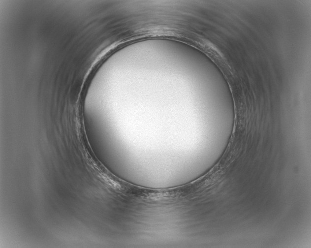 X0000055981182200509091945