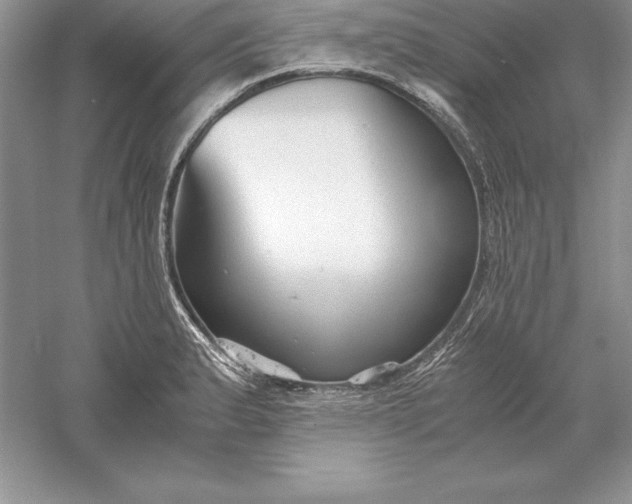 X0000055981183200509091945