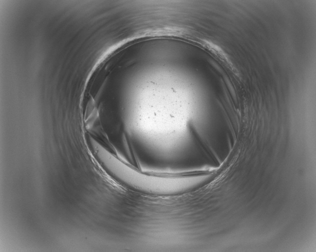 X0000055981184200509091945