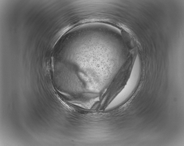 X0000055981185200509091945