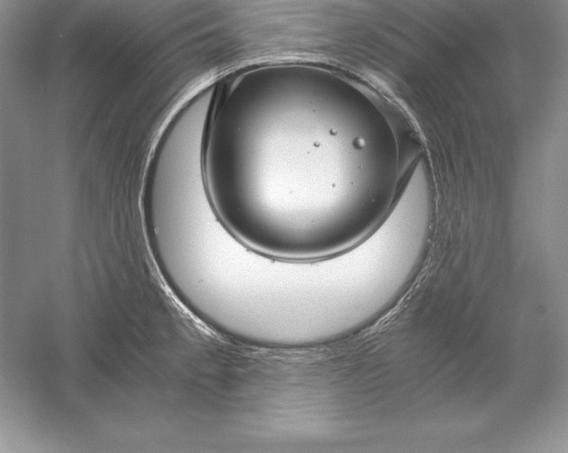 X0000055981189200509091945