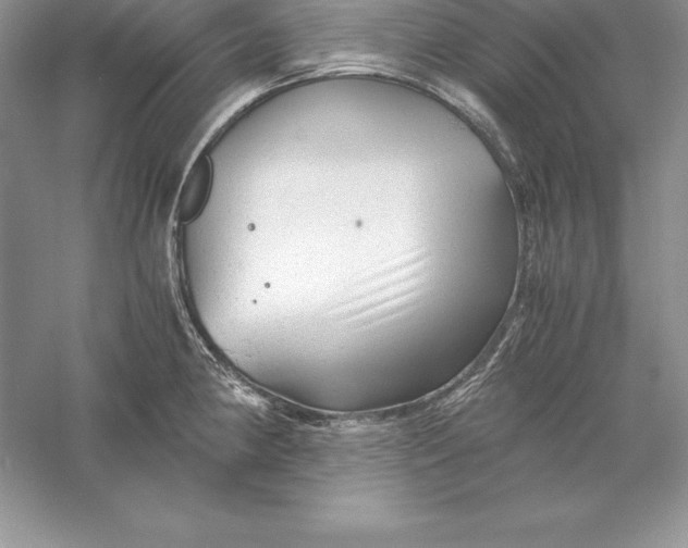 X0000055981190200509091945