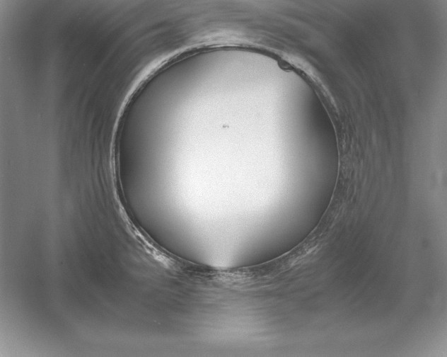 X0000055981191200509091945