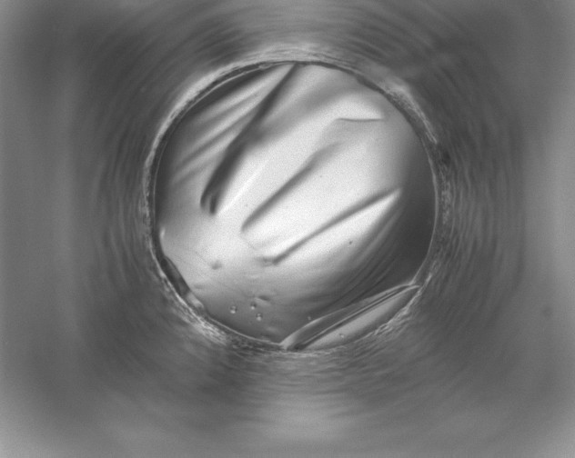 X0000055981192200509091945