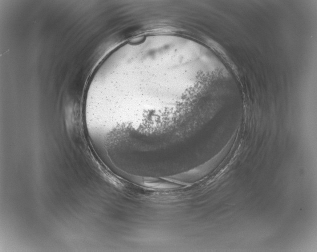 X0000055981194200509091945