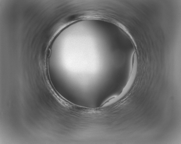 X0000055981195200509091945