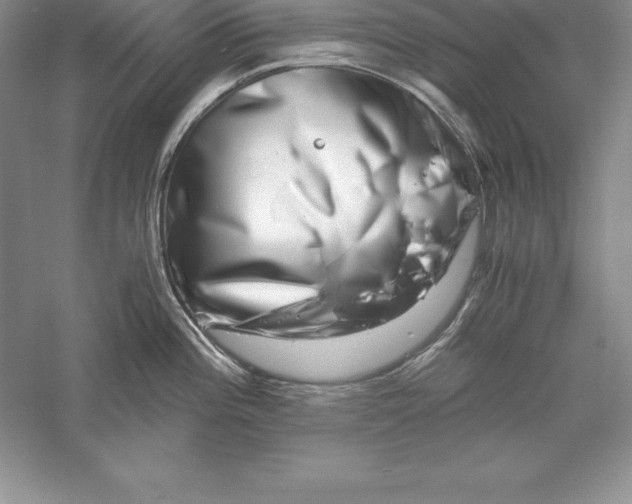 X0000055981196200509091945