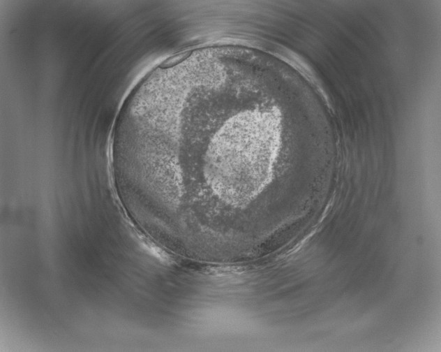 X0000055981198200509091945