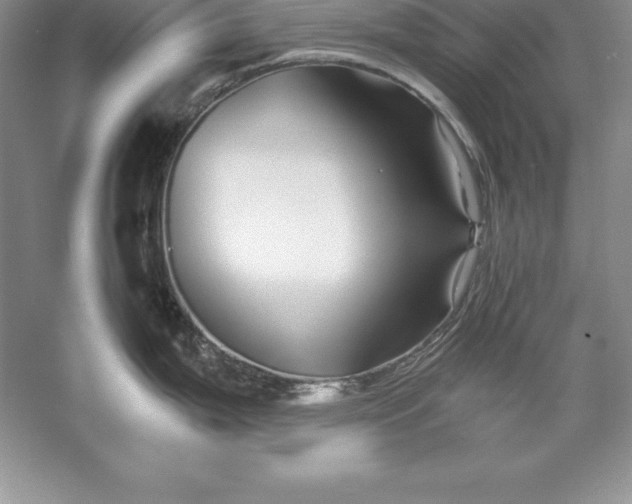 X0000055981199200509091945