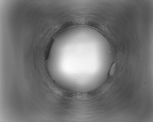 X0000055981201200509091944