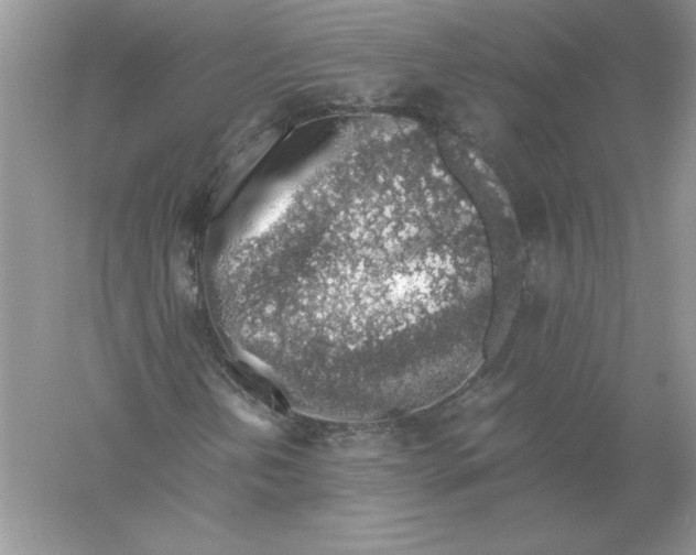 X0000055981202200509091944