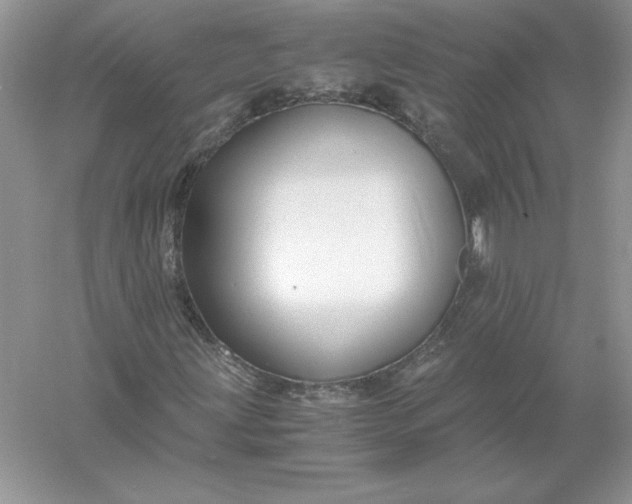 X0000055981203200509091944