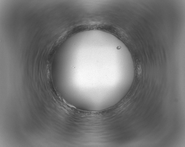 X0000055981204200509091944