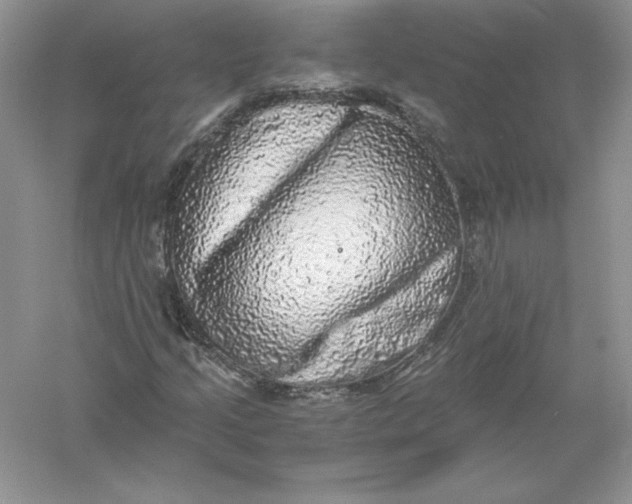 X0000055981205200509091944