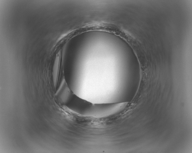 X0000055981206200509091944