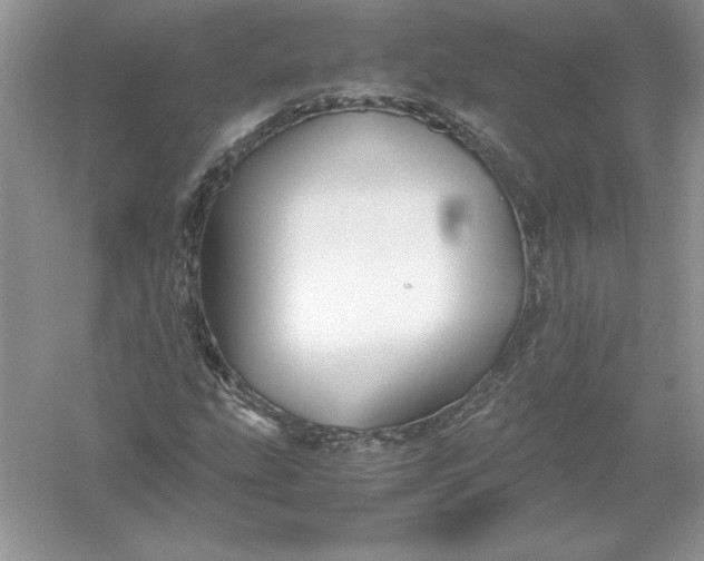 X0000055981207200509091944