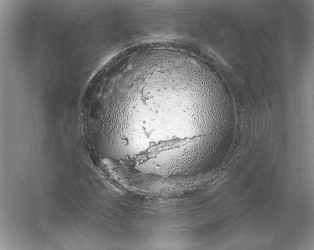 X0000055981208200509091944