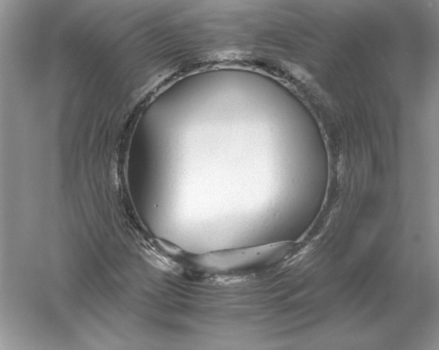 X0000055981209200509091944