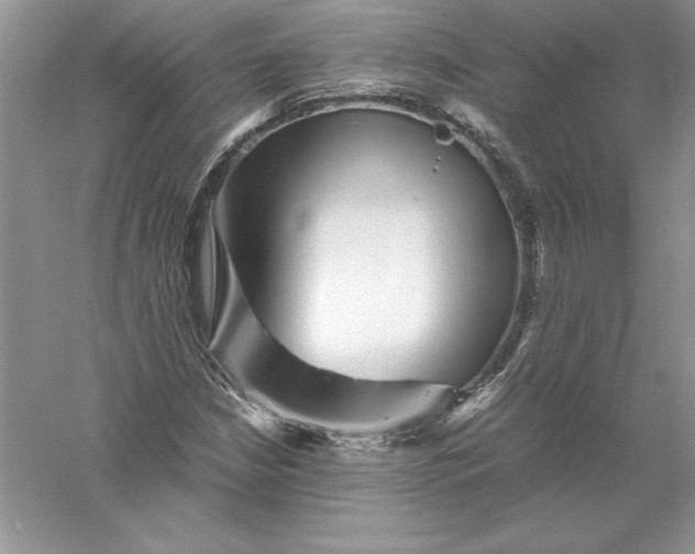 X0000055981210200509091944