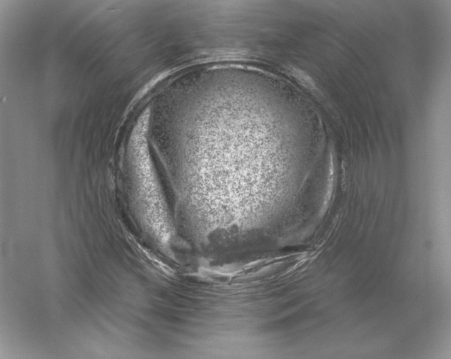 X0000055981212200509091944