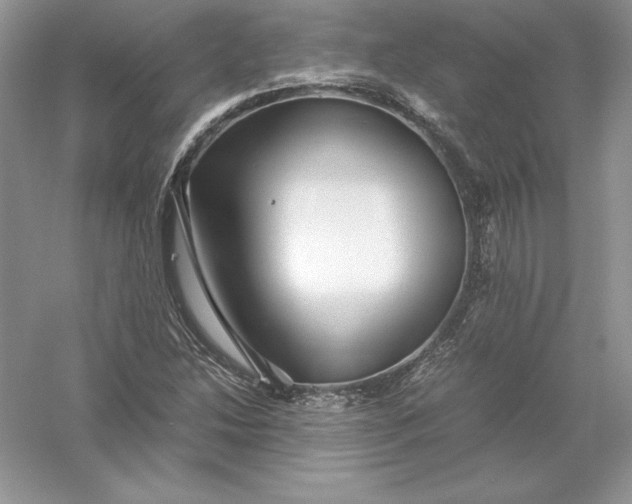 X0000055981214200509091944