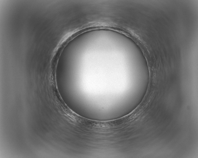 X0000055981215200509091944