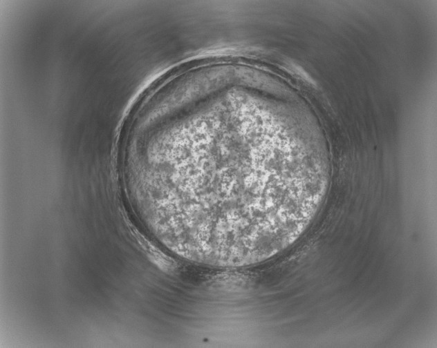 X0000055981216200509091944