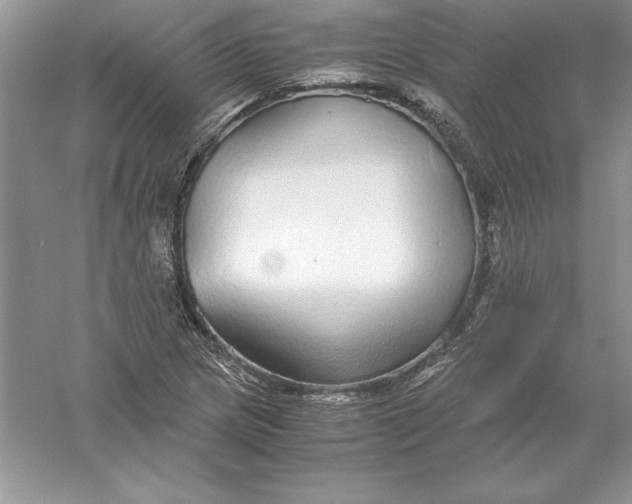 X0000055981217200509091944