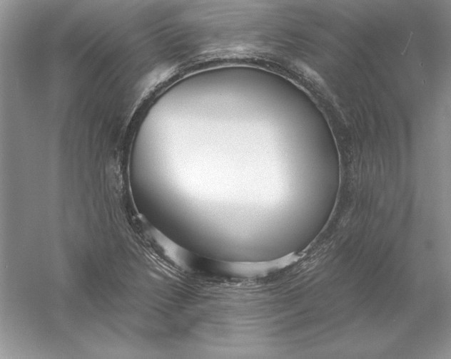 X0000055981218200509091944