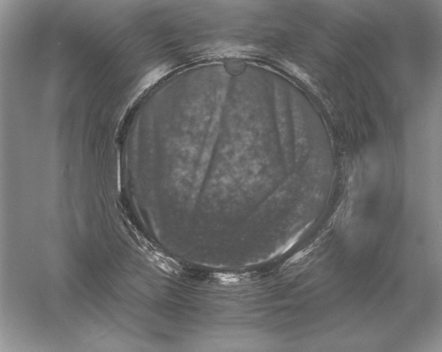 X0000055981219200509091944