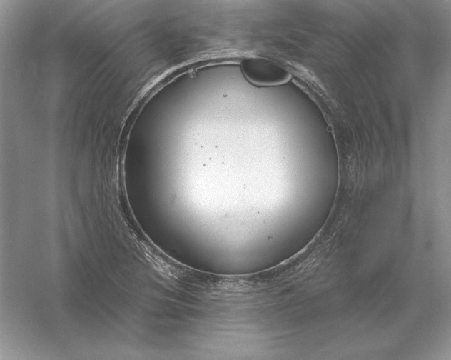 X0000055981220200509091944