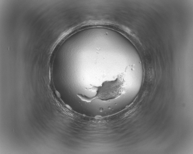 X0000055981221200509091944