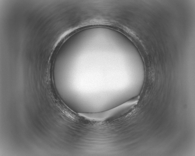 X0000055981222200509091944