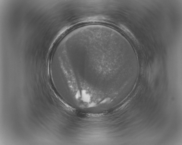 X0000055981224200509091944