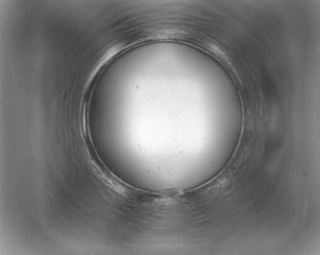 X0000055981227200509091944